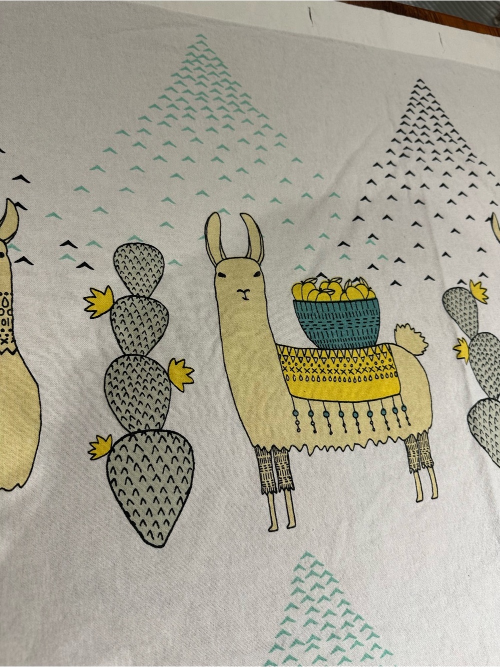 Danica Studio Llamarama Shower Curtain